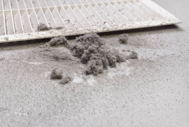 Ventilation Cleaning Services in Headland, AL