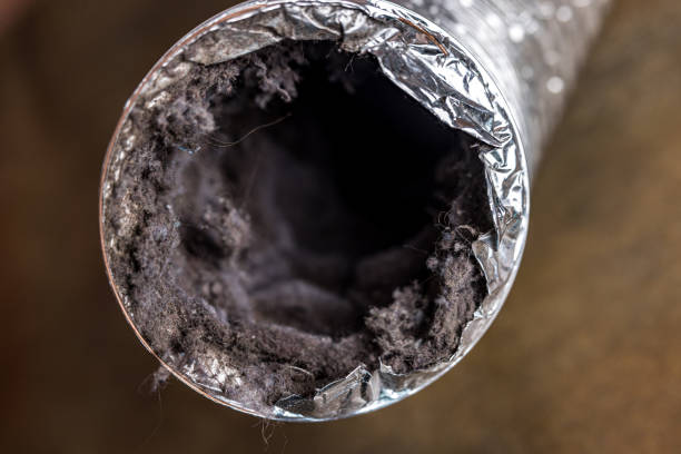 Best Best Air Duct Cleaning Company  in Headland, AL